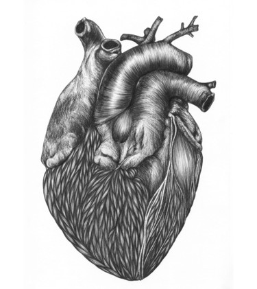 Drawing titled "coeur.jpeg" by Charles Rastoul, Original Artwork