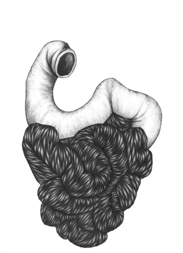 Drawing titled "intestins.jpeg" by Charles Rastoul, Original Artwork, Ballpoint pen