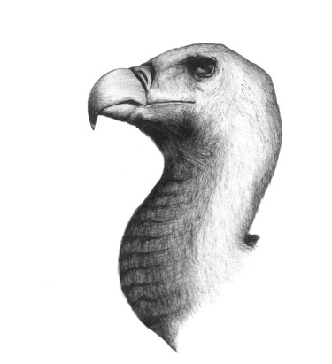 Dessin intitulée "eagle.jpeg" par Charles Rastoul, Œuvre d'art originale, Stylo à bille