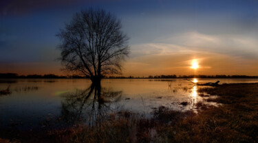 Fotografie getiteld "Sonnenuntergang an…" door Chris Schäfer, Origineel Kunstwerk, Digitale fotografie