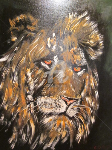 Malerei mit dem Titel "african-male-lion.j…" von Chris Cooper, Original-Kunstwerk, Öl