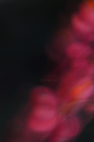 Photographie intitulée "Noir fusain" par Christophe Sécher, Œuvre d'art originale, Photographie numérique