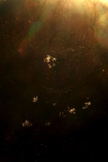 Photographie intitulée "Crépuscule 1" par Christophe Sécher, Œuvre d'art originale, Photographie non manipulée