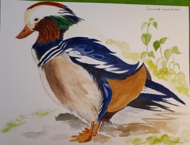 Pintura intitulada "le canard mandarin" por Chris Texier, Obras de arte originais, Aquarela