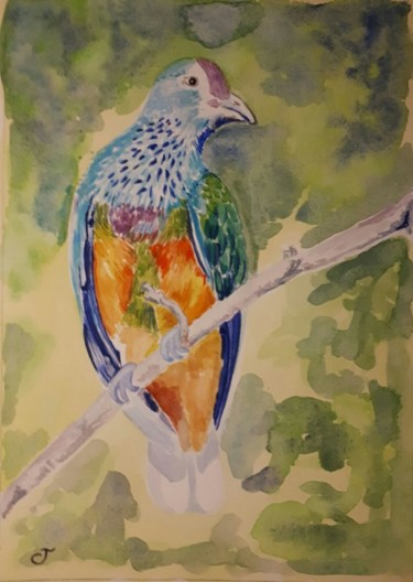 Schilderij getiteld "Pigeon africain" door Chris Texier, Origineel Kunstwerk, Aquarel