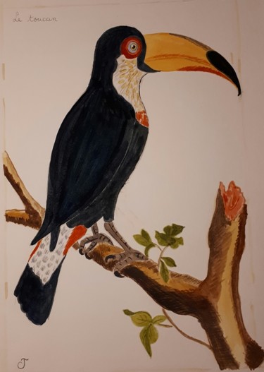 Painting titled "le toucan" by Chris Texier, Original Artwork, Watercolor