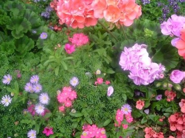 Photography titled "various pink flowers" by Chris Lee, Original Artwork