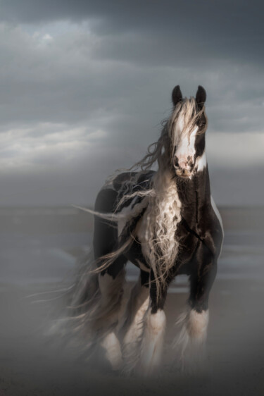 Fotografía titulada "Storm" por Christa Merk, Obra de arte original, Fotografía digital
