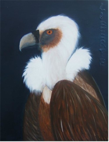 Painting titled "vautour" by Christa Daulon-Dubourdieu, Original Artwork