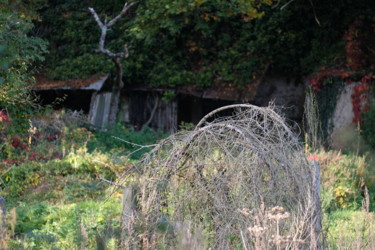 Photographie intitulée "Chaos Végétal" par Christac, Œuvre d'art originale, Photographie numérique