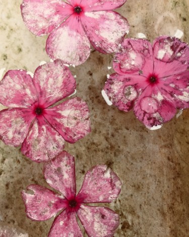 Photographie intitulée "Flowerdream" par Christine Stalder, Œuvre d'art originale