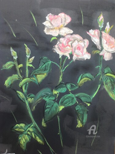 Dessin intitulée "Le rosier" par Christel, Œuvre d'art originale, Pastel Monté sur Carton