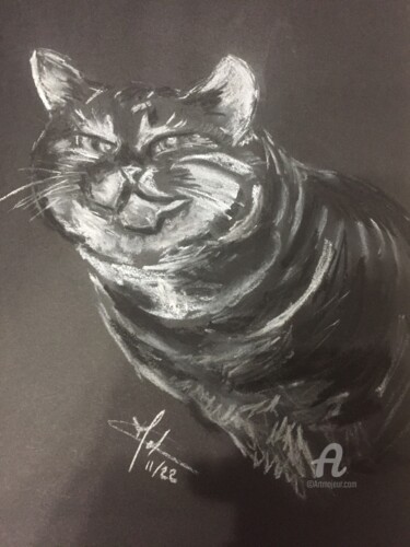 Drawing titled "Le chat" by Christel, Original Artwork, Pastel Mounted on artwork_cat.