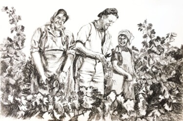 Dessin intitulée "Vendanges en Famill…" par Christel Alcala, Œuvre d'art originale, Fusain