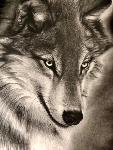 Dessin intitulée "Le loup" par Christel David, Œuvre d'art originale, Graphite
