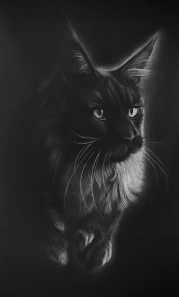 Painting titled "Chat maine coon" by Christel David, Original Artwork, Pastel