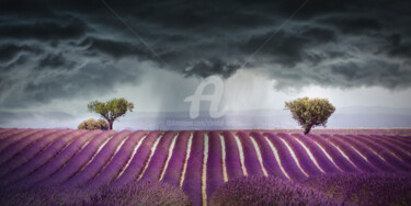 Photographie intitulée "L'orage" par Christel Lardant, Œuvre d'art originale, Photographie numérique Monté sur Aluminium
