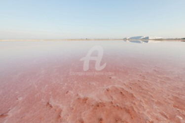 Fotografia zatytułowany „La Dune” autorstwa Christel Lardant, Oryginalna praca, Fotografia cyfrowa Zamontowany na Aluminium