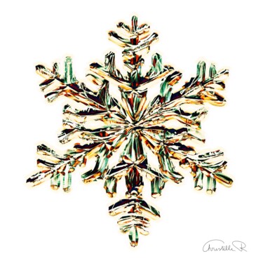 Arts numériques intitulée "Flocon de neige sou…" par Christelle Richard, Œuvre d'art originale, Modélisation 3D