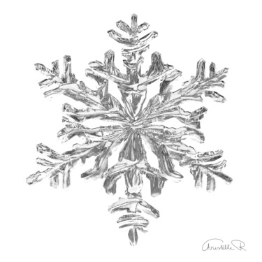 Arts numériques intitulée "Flocon de neige noi…" par Christelle Richard, Œuvre d'art originale, Modélisation 3D