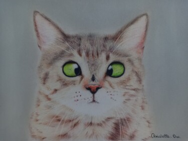 Schilderij getiteld "Chat qui louche" door Christelleow, Origineel Kunstwerk, Potlood