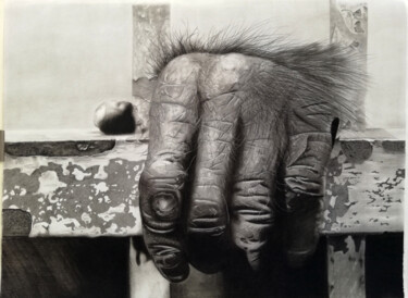 图画 标题为“Prison” 由Christian Bouard, 原创艺术品, 石墨