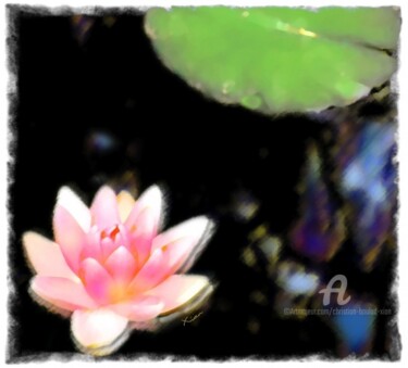Peinture intitulée "Water_Lily" par Christian Boulad (Xian), Œuvre d'art originale, Huile