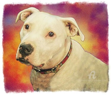 Painting titled "Liam... le Pitbull" by Christian Boulad (Xian), Original Artwork, Oil