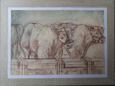 Tekening getiteld "TAUREAU CHAROLAIS" door Christian Choquet, Origineel Kunstwerk, Krijt Gemonteerd op Frame voor houten bra…