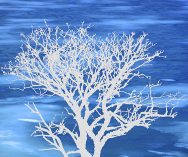 Photographie intitulée "L'arbre blanc ''la…" par Christian Clausier, Œuvre d'art originale