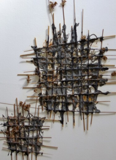 Картина под названием "cage" - Christian Gaufreteau, Artiste-Jardinier, Подлинное произведение искусства, Пигменты Установле…