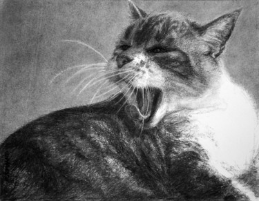 Drawing titled "le chat 1" by Christian Rolland, Original Artwork, Charcoal