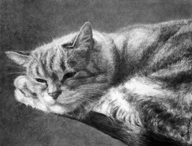 Dessin intitulée "le chat 2" par Christian Rolland, Œuvre d'art originale, Fusain