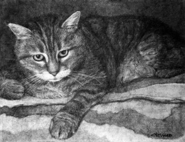Drawing titled "le chat 3" by Christian Rolland, Original Artwork, Charcoal