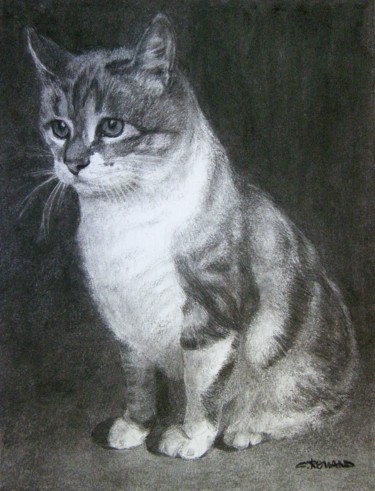 Tekening getiteld "le chat 4" door Christian Rolland, Origineel Kunstwerk, Houtskool