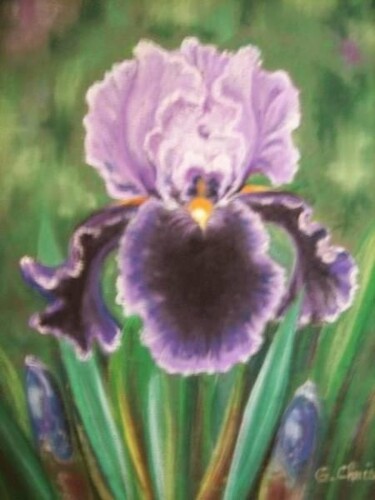 Painting titled "Iris mauve" by Christiane Guilleminot, Original Artwork, Pastel
