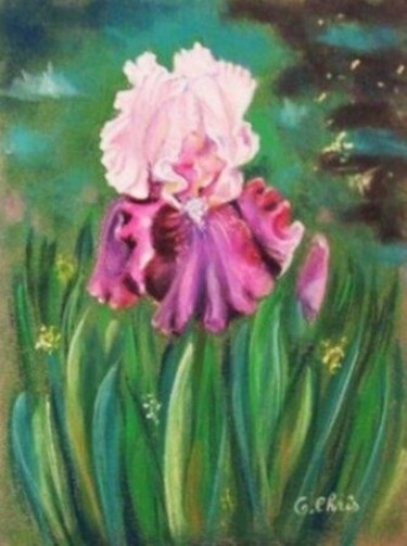 Dibujo titulada "Iris rose au pastel" por Christiane Guilleminot, Obra de arte original, Pastel