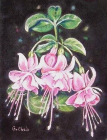 Dibujo titulada "Fuschia rose au pas…" por Christiane Guilleminot, Obra de arte original, Pastel