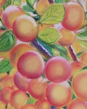 Drawing titled "Prunes du jardin" by Christiane Guilleminot, Original Artwork, Pastel