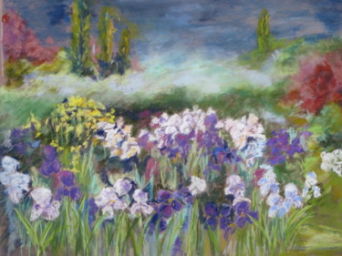 Painting titled "iris du Grand Barbu" by Christiane Prudhomme, Original Artwork, Pastel