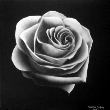 Peinture intitulée "rose blanche" par Christian Salaun, Œuvre d'art originale, Autre