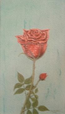 Peinture intitulée "rose" par Christian Salaun, Œuvre d'art originale
