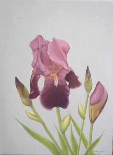 Painting titled "iris mauves" by Christian Salaun, Original Artwork