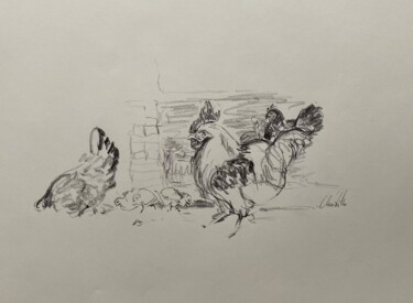 Drawing titled "Poules Coq poussins" by Christille De Witte, Original Artwork, Pencil