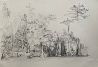 Drawing titled "Sous bois du Saulch…" by Christille De Witte, Original Artwork, Pencil