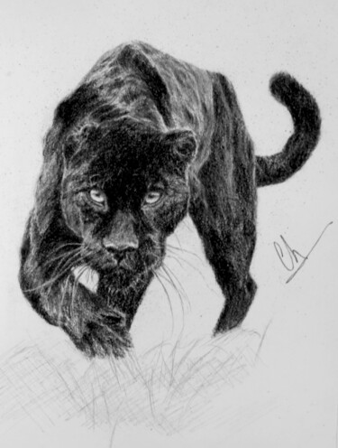 Tekening getiteld "Jaguar" door Christina Diamond, Origineel Kunstwerk, Houtskool