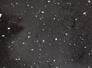 Photography titled "Snow in the darkness" by Christina Gallello, Original Artwork, Digital Photography