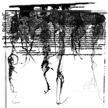Arte digitale intitolato "Texte 2-30" da Christine Barone, Opera d'arte originale, Fotomontaggio