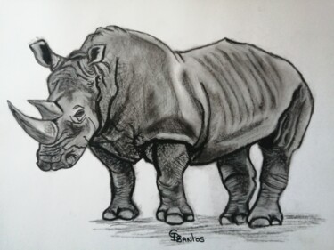 Disegno intitolato "dessin rhinocéros" da Christine Dos Santos, Opera d'arte originale, Carbone
