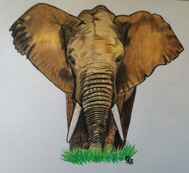 Desenho intitulada "dessin éléphant" por Christine Dos Santos, Obras de arte originais, Lápis